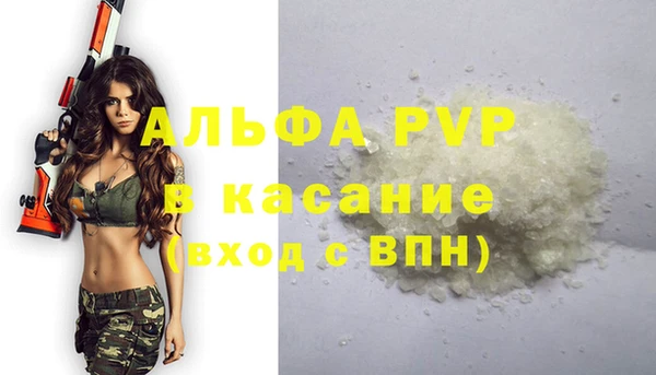 крисы Заполярный