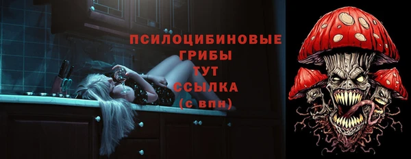 PSILOCYBIN Алексин