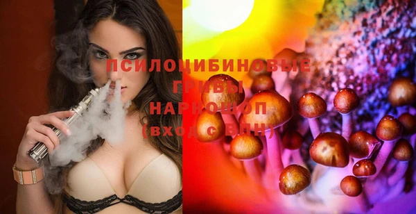 ALPHA-PVP Алексеевка